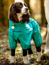 RainGuard Seam-Sealed Outdoor Dog Raincoat