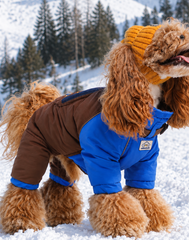 SnowPeak 2026 Winter Down Suit for Dogs & Cats