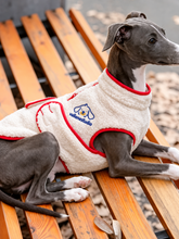WarmShield Thick Quilted Dog Vest
