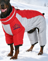 FrostGuard Reflective Four-Leg Winter Dog Coat