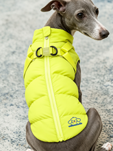 CozyTrail Quilted Winter Coat for Small Dogs