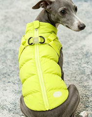 CozyTrail Quilted Winter Coat for Small Dogs