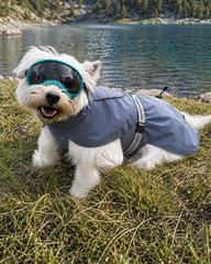 StormLite Waterproof Outdoor Dog Jacket