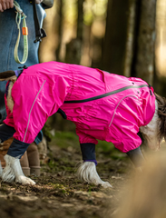 RainGuard Seam-Sealed Outdoor Dog Raincoat
