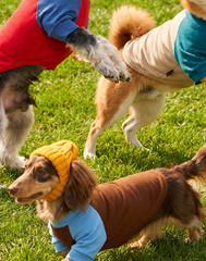 Campus Classic Turtleneck Tee for Dogs