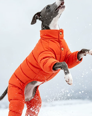 WinterPuff White Duck Down Four-Leg Dog Jacket