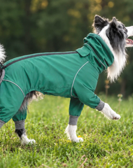 RainShield Waterproof Four-Leg Outdoor Dog Suit