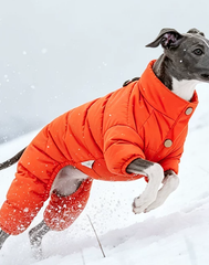 WinterPuff White Duck Down Four-Leg Dog Jacket