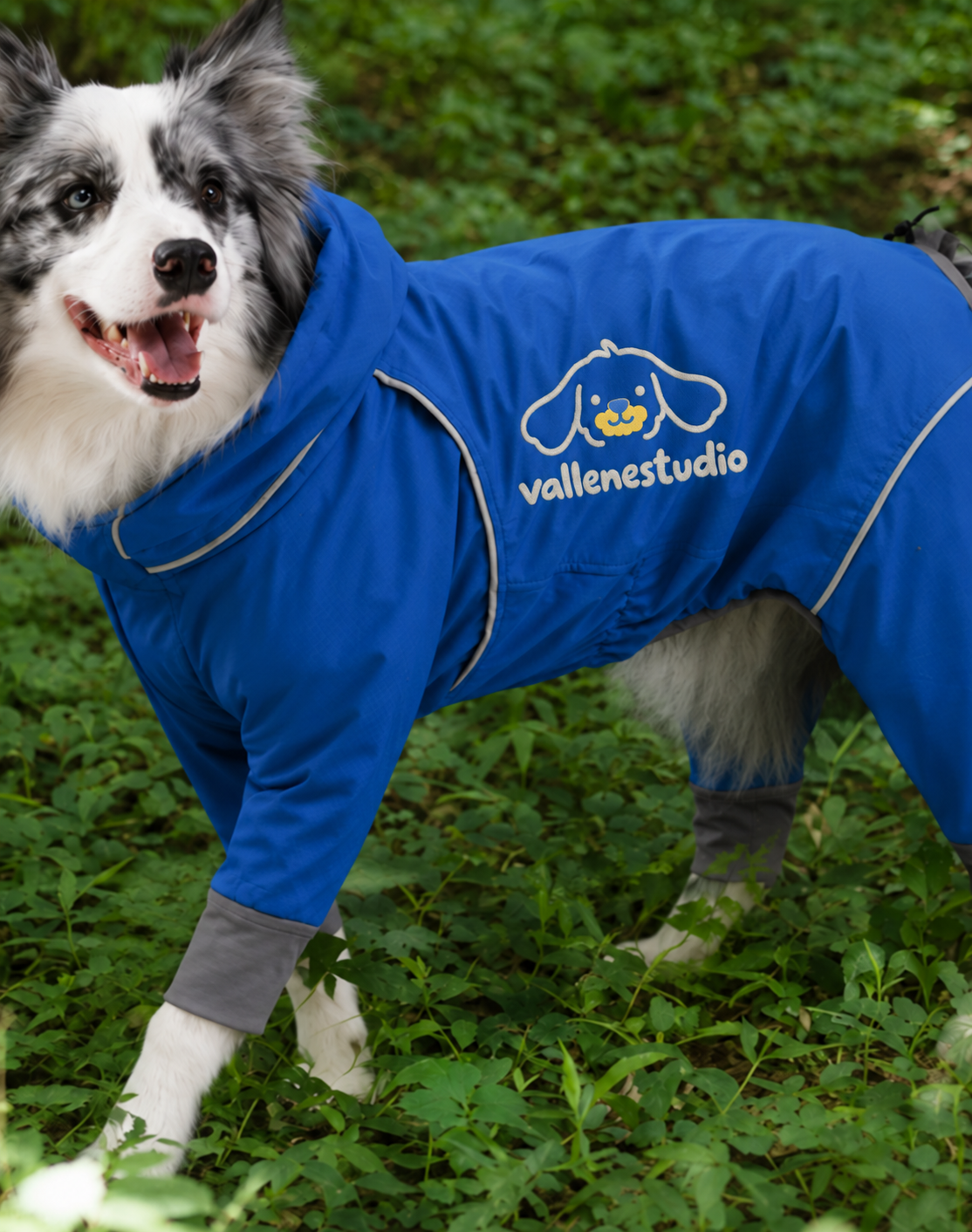 RainShield Waterproof Four-Leg Outdoor Dog Suit