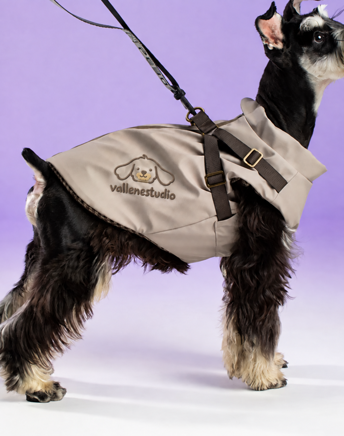 SnowyWarm Leash-Ready Winter Dog Vest