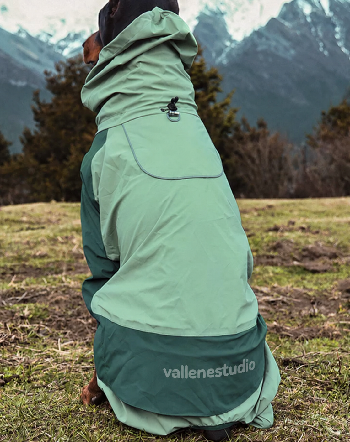 StormGuard Four-Leg Waterproof Dog Rain Suit