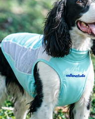 IceCool Lightweight Cooling Vest for Dogs