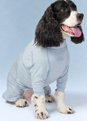 Reflective Waterproof All-Weather Four-Leg Dog Suit