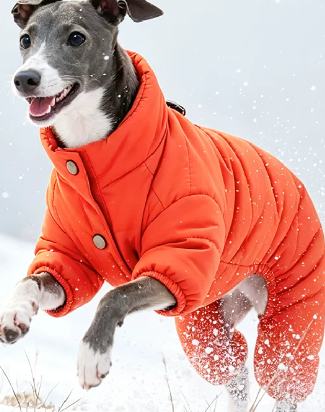 WinterPuff White Duck Down Four-Leg Dog Jacket