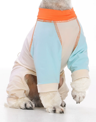 CoolBreeze Anti-Mosquito Cooling Dog Suit