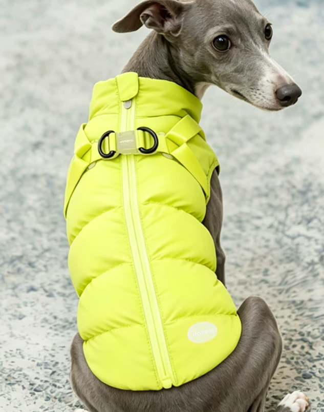 CozyTrail Quilted Winter Coat for Small Dogs