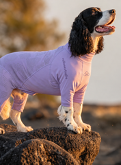 Reflective Waterproof All-Weather Four-Leg Dog Suit