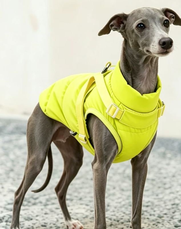 CozyTrail Quilted Winter Coat for Small Dogs