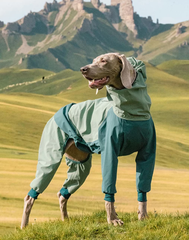 StormGuard Four-Leg Waterproof Dog Rain Suit