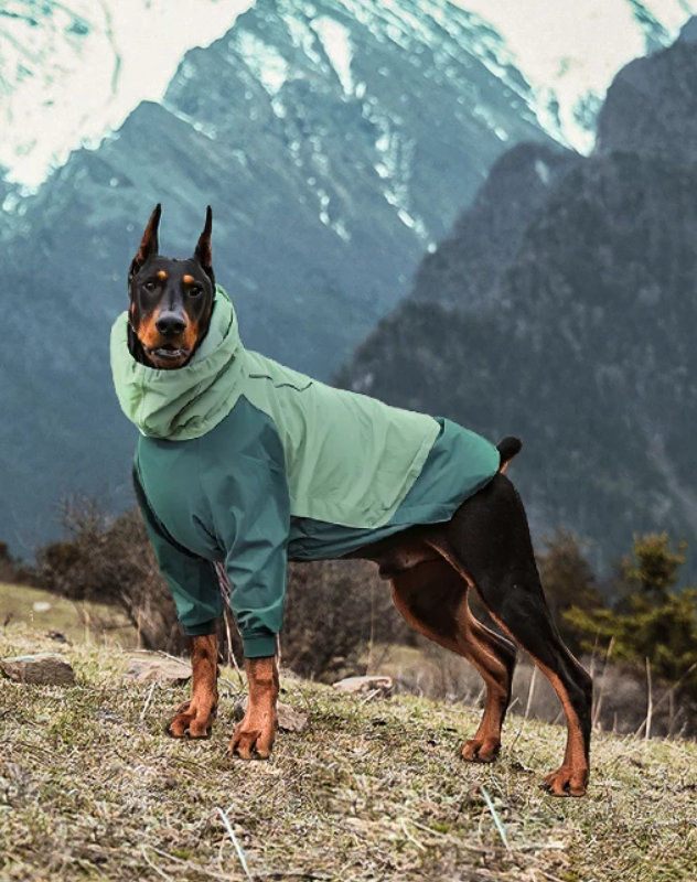 StormGuard Four-Leg Waterproof Dog Rain Suit
