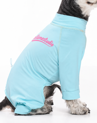 CoolBreeze Anti-Mosquito Cooling Dog Suit