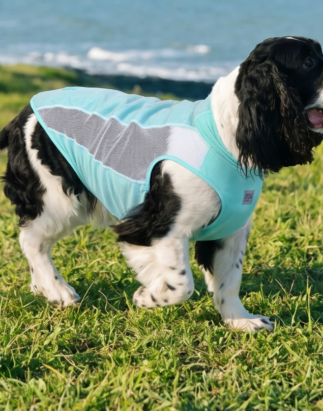 IceCool Lightweight Cooling Vest for Dogs