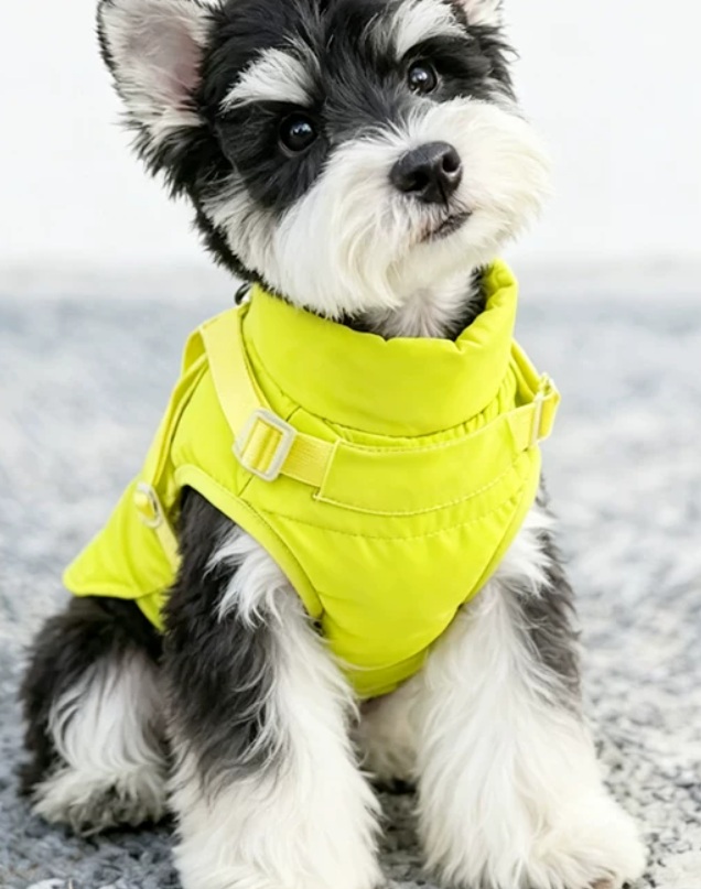 CozyTrail Quilted Winter Coat for Small Dogs