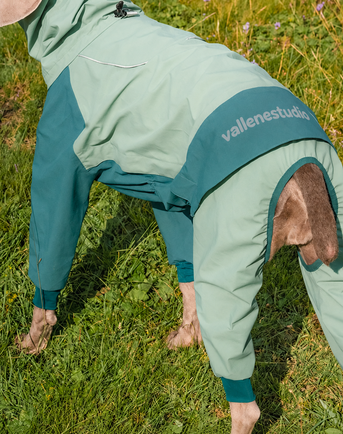StormGuard Four-Leg Waterproof Dog Rain Suit