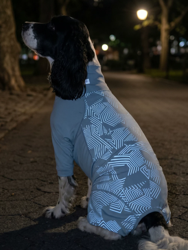Reflective Waterproof All-Weather Four-Leg Dog Suit